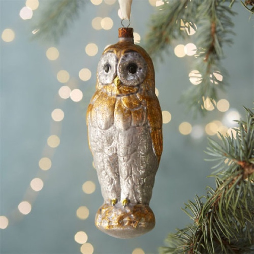New🌟 Winter Owl Glass Ornament by Terrain.